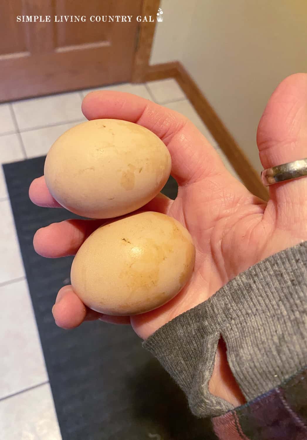 how to wash eggs from the coop Simple Living Country Gal