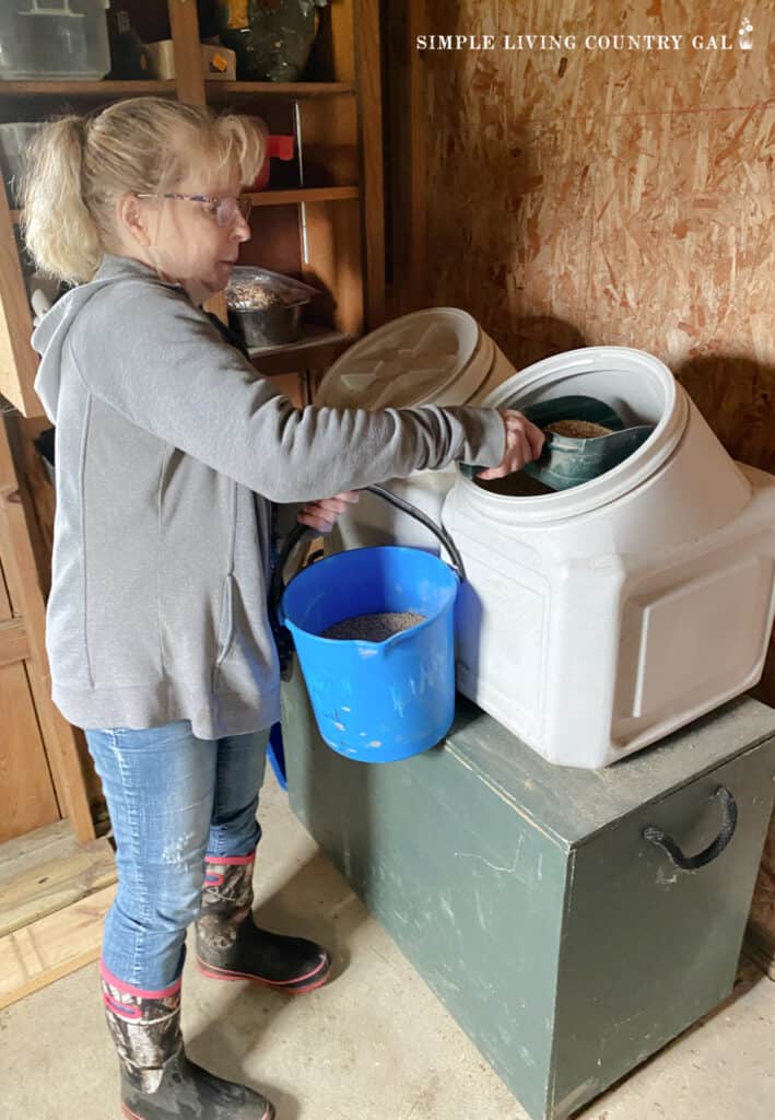a woman filling a blue bucket using a green scoop with chicken feed