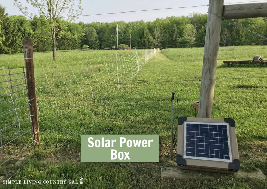 solar box on a fence post next to high tensile and electric netting - green box with the words "solar power box" 
