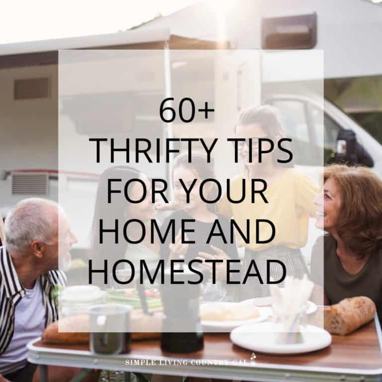 thrifty homesteader Tips