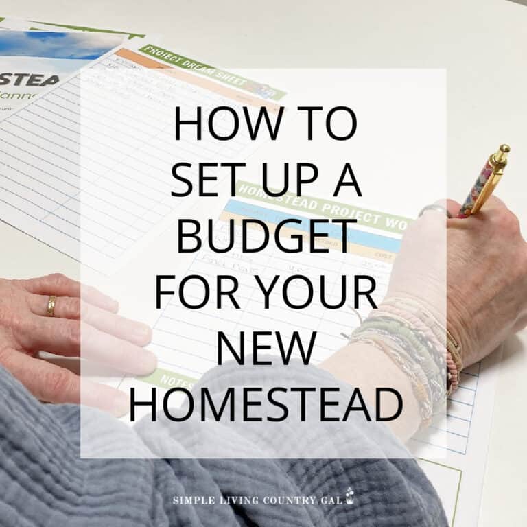 HOmestead budget