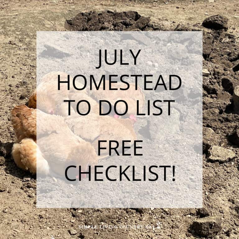 July Homesteading to-Do list