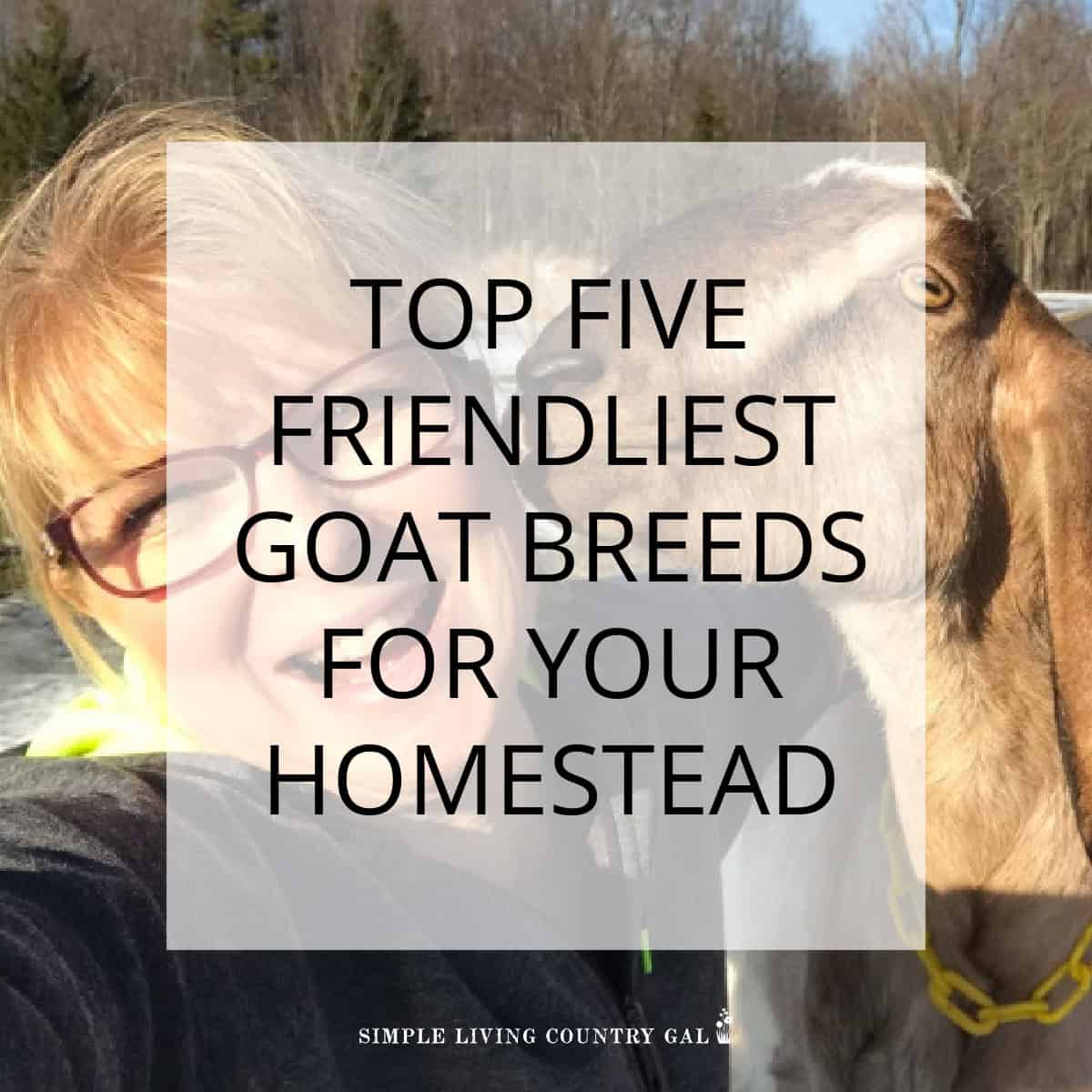 friendliest goat breeds | Simple Living Country Gal