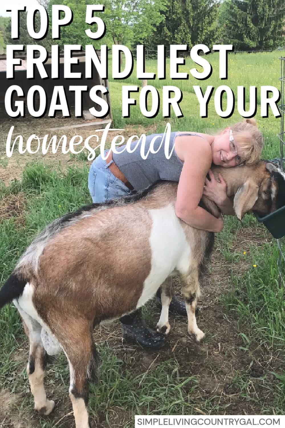 friendliest goat breeds | Simple Living Country Gal