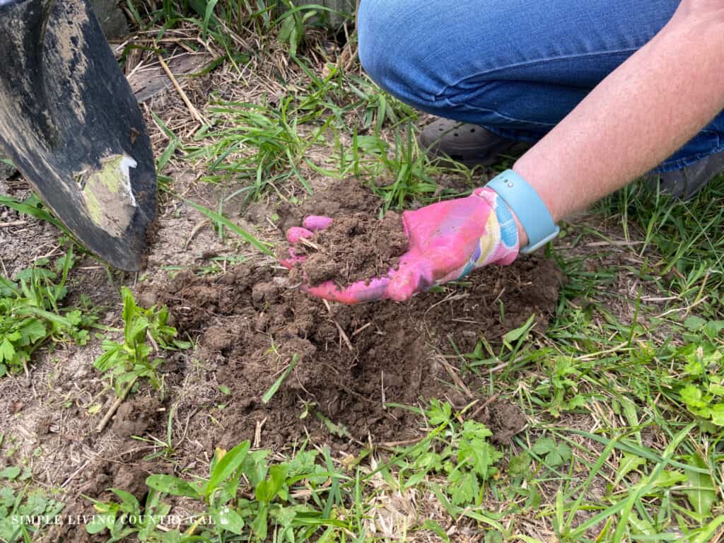 a pink gloved hand holding soil next to a shovel 
