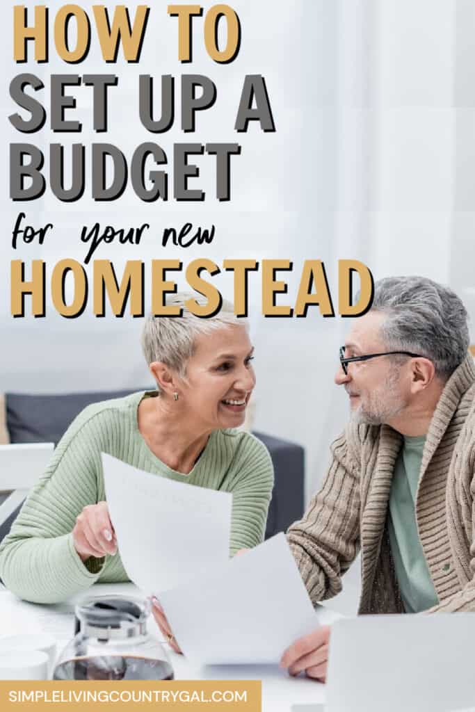 homestead budget