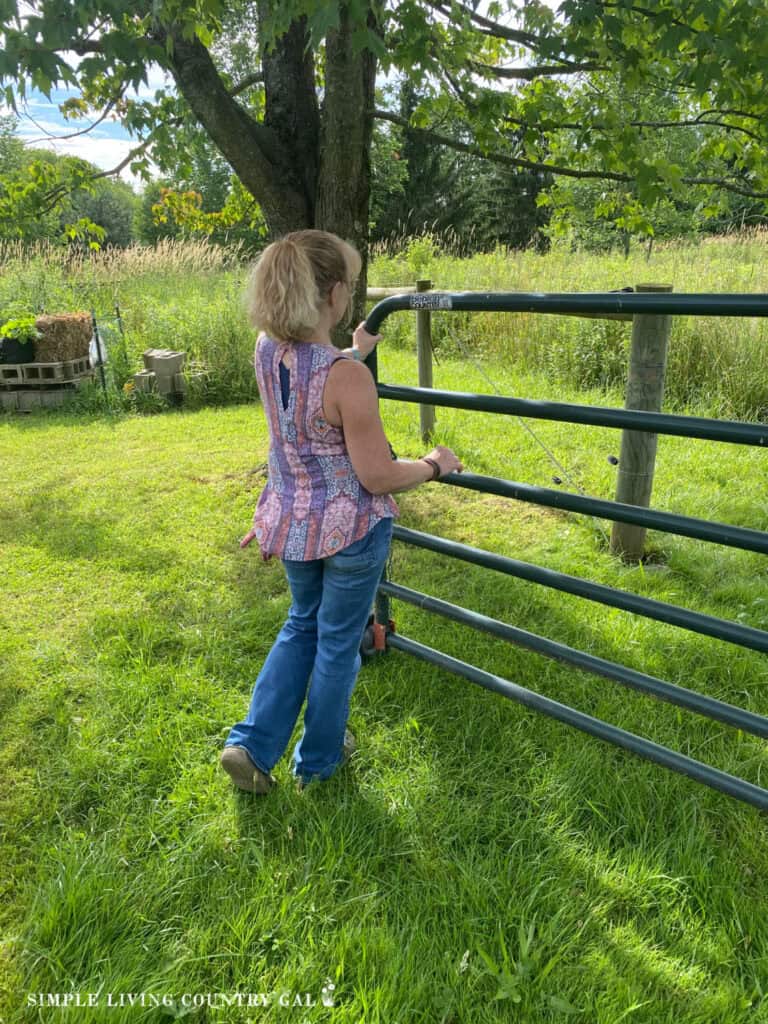 a woman in jeans closing a metal gate on a homestead 