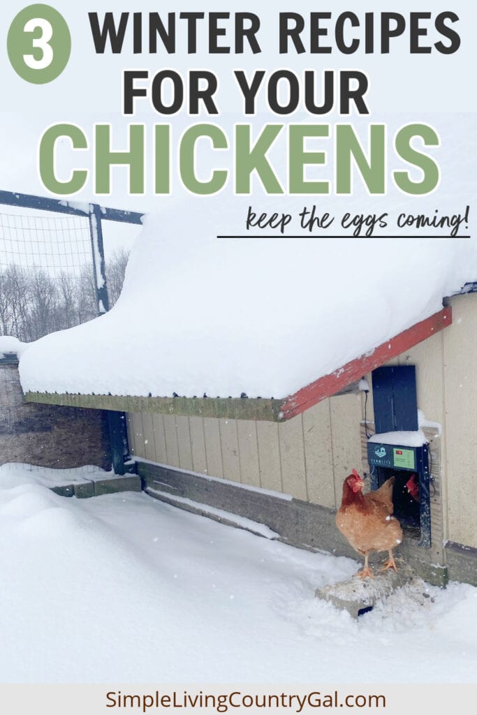 winter chicken feed recipes | Simple Living Country Gal