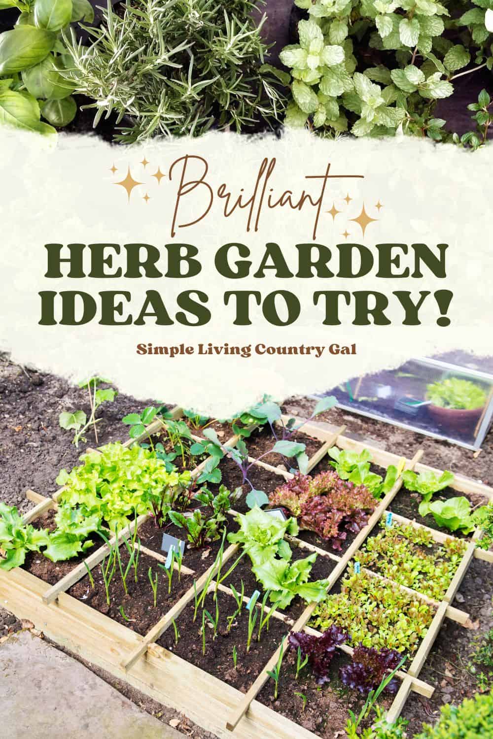 Container Herb Garden Ideas for Small Spaces | Simple Living Country Gal