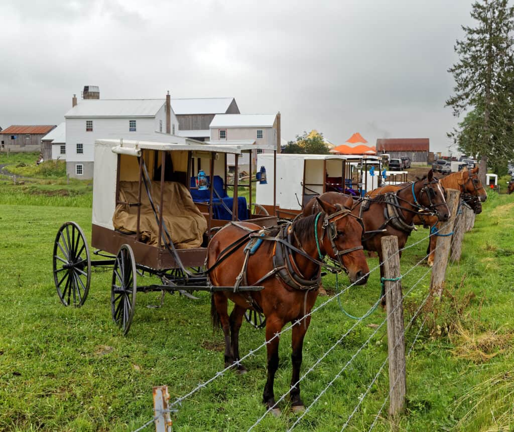 a group of Amish buggies and horses tied to a fence outside of a white farmhouse