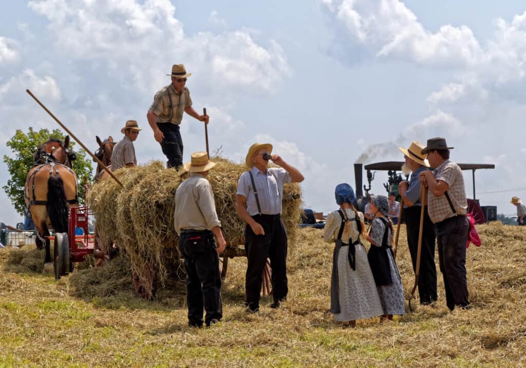 a group of Amish in a pasture nest to a team of horses