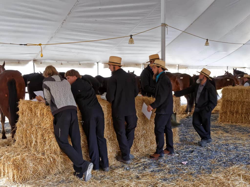 a group of amish men leaning against a hay bale in a barn near to horses 