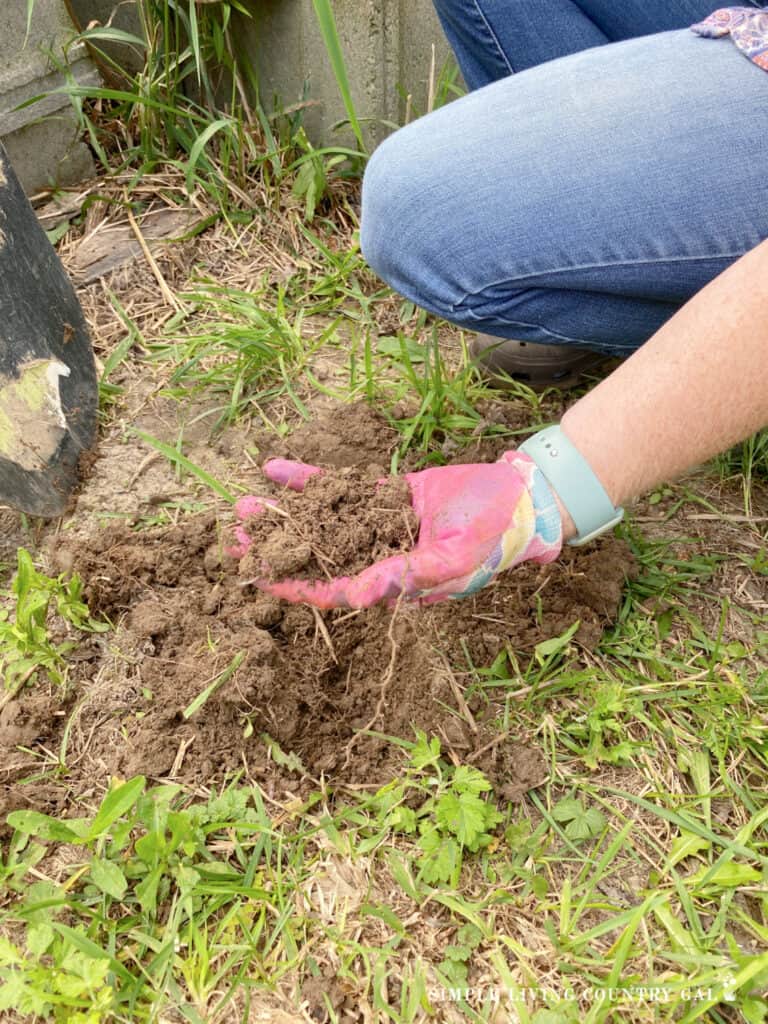 a hand with a pink glove holding a clump of clay soil next to a shovel