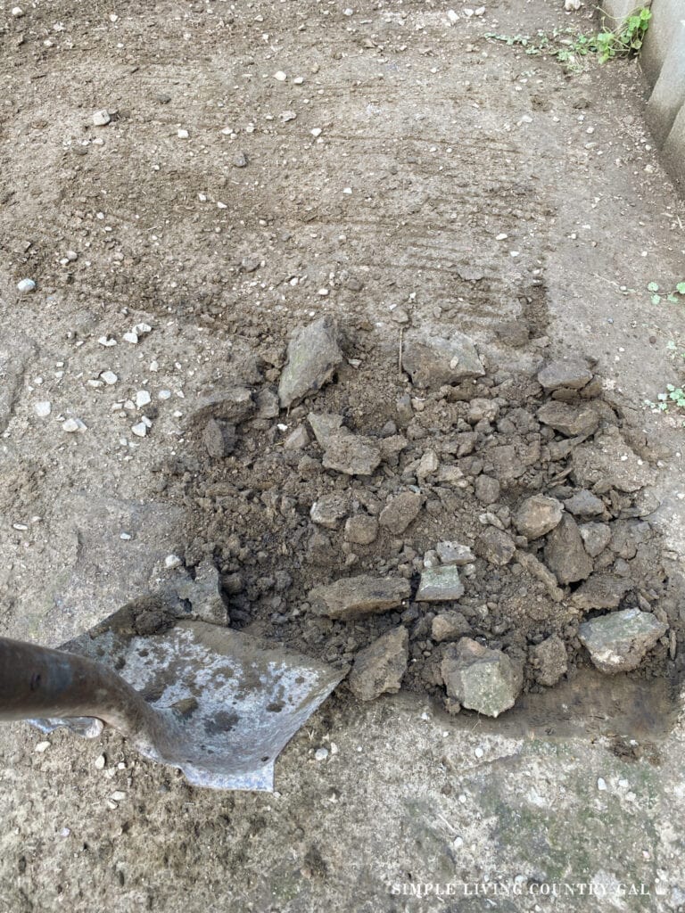 a shovel digging a hole for a dust bath in a chicken run