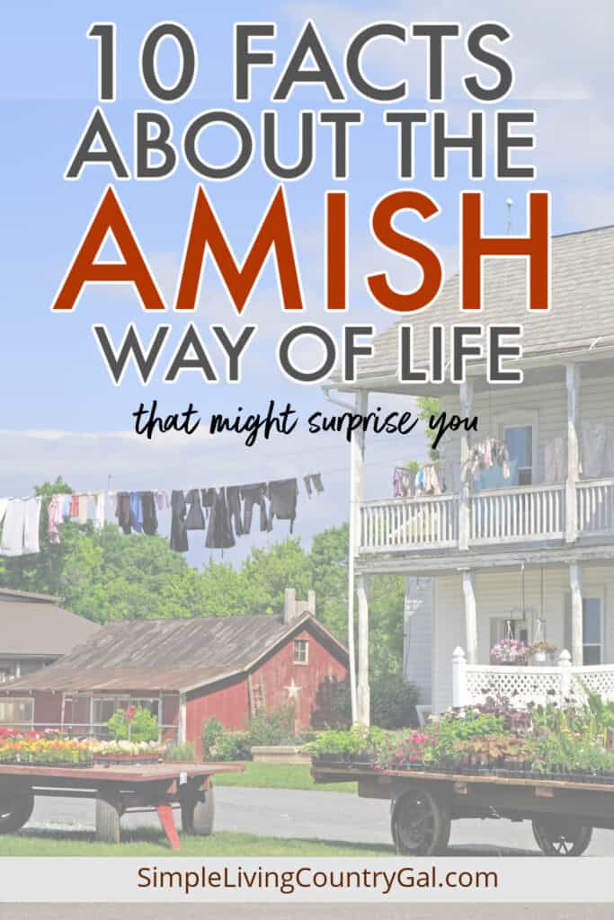 amish way of life