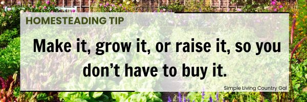 A garden background with a text overlay that reads, "Homesteading Tip: Make it, grow it, or raise it, so you don’t have to buy it."