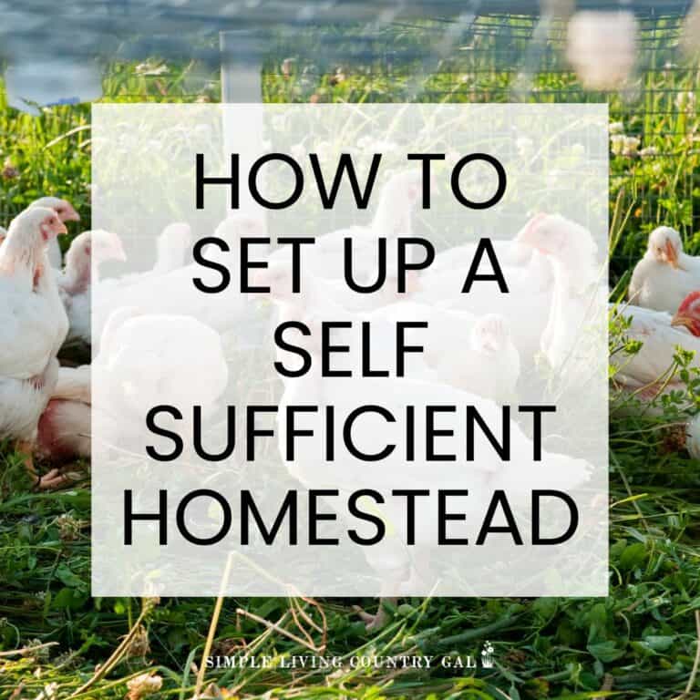 Self Sufficient Homestead Checklist