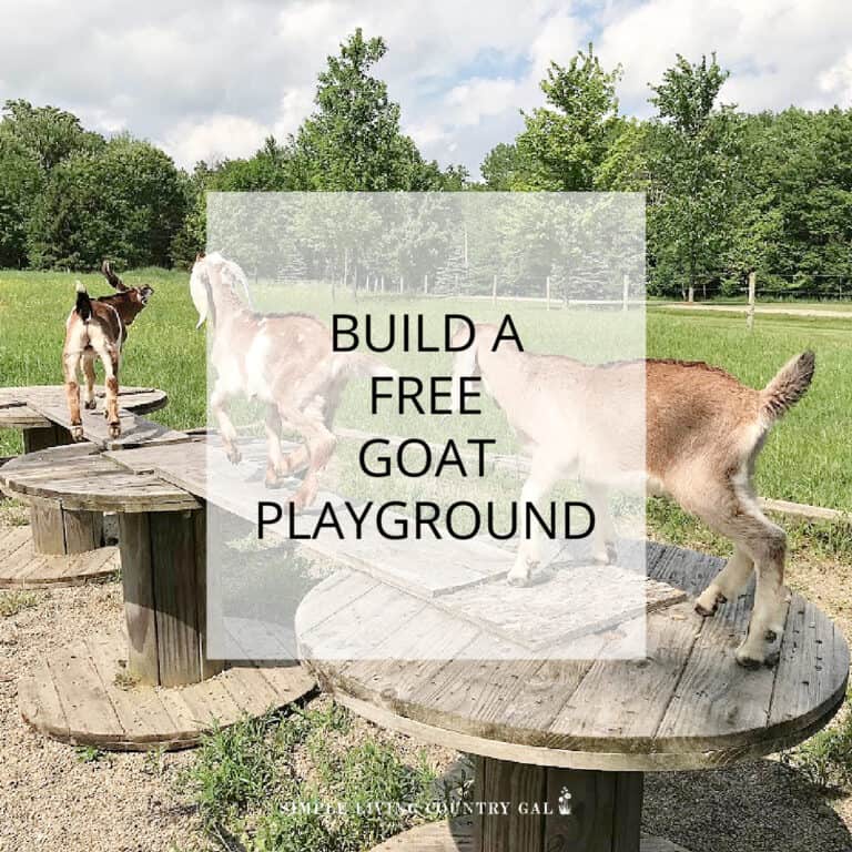 Diy Goat Playground