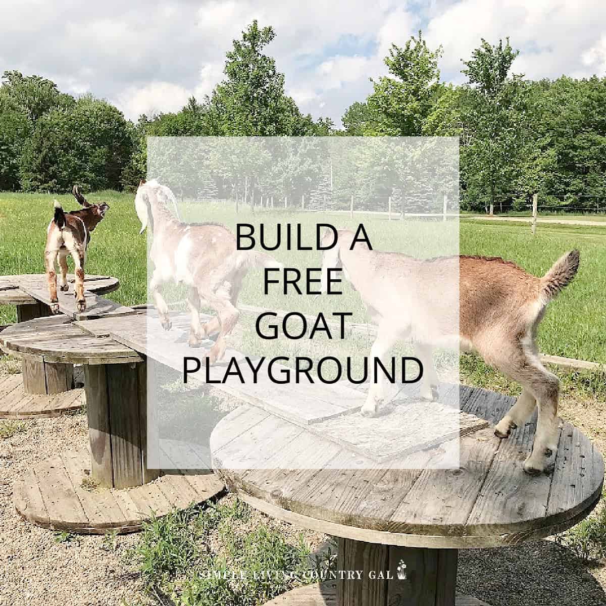 Diy Goat Playground