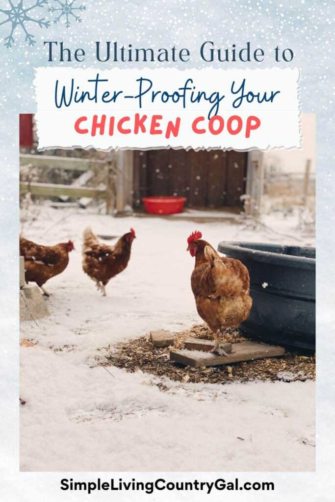 prepare your chicken coop for winter