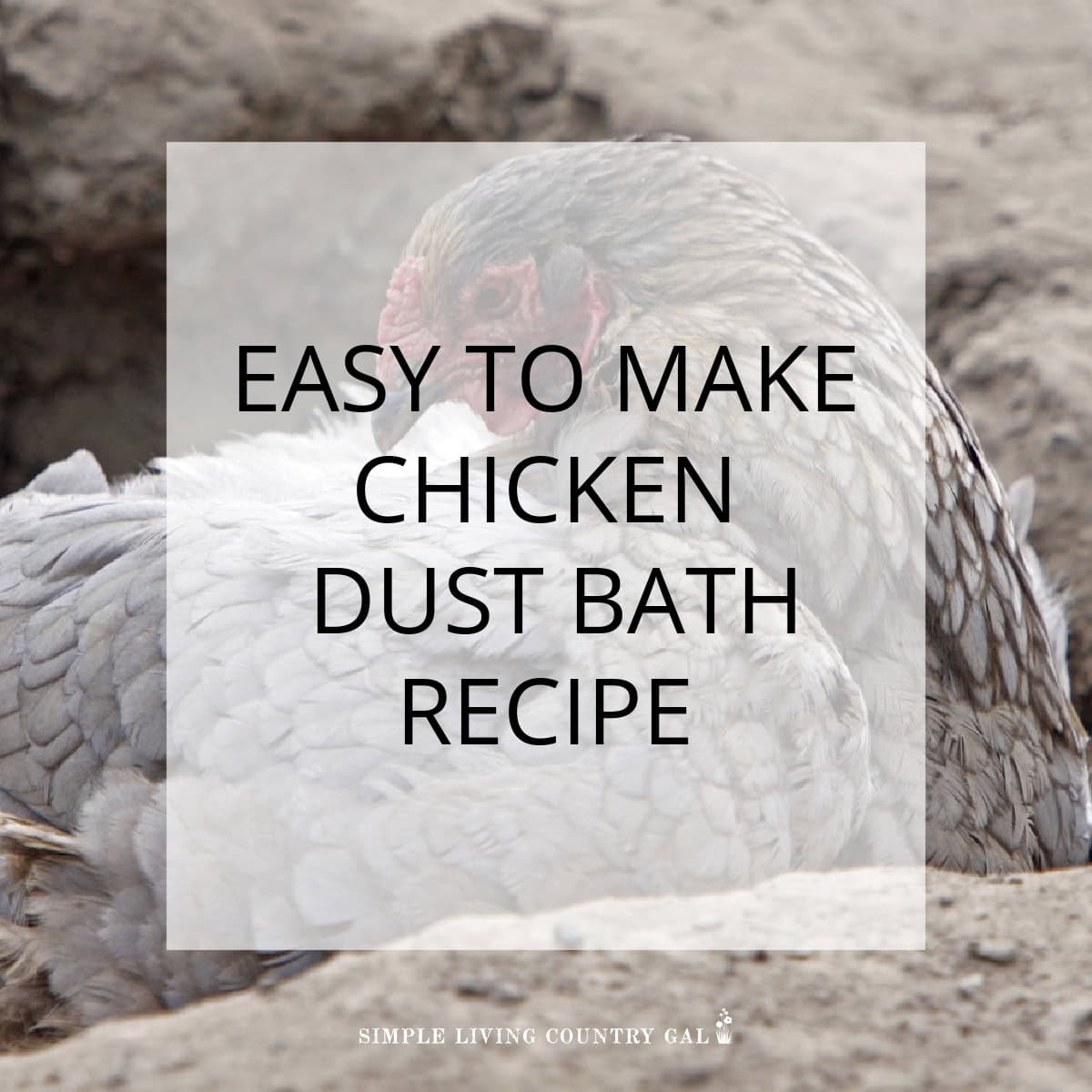 Dust Bath Recipe for Healthy and Happy Chickens Simple Living Country Gal