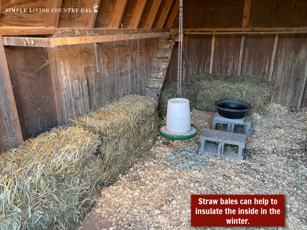 the inside of a duck coop with straw bales lined up as insulation