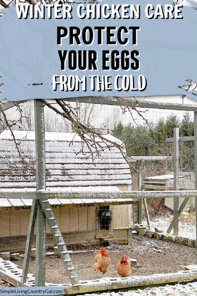 Keep eggs from freezing
