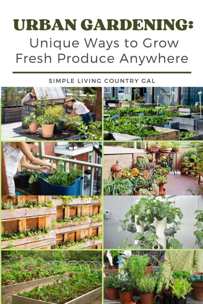 urban gardening