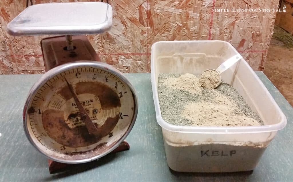 an old scale next to a bowl of kelp and with minerals added in