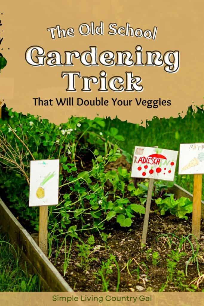 square foot gardening for beginners