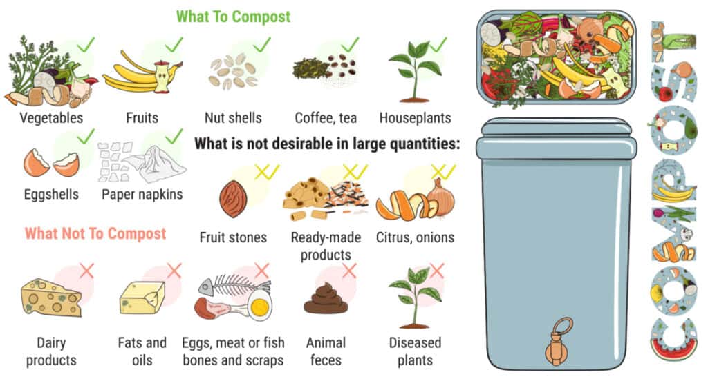 a guide of what to compost and what to avoid in a kitchen