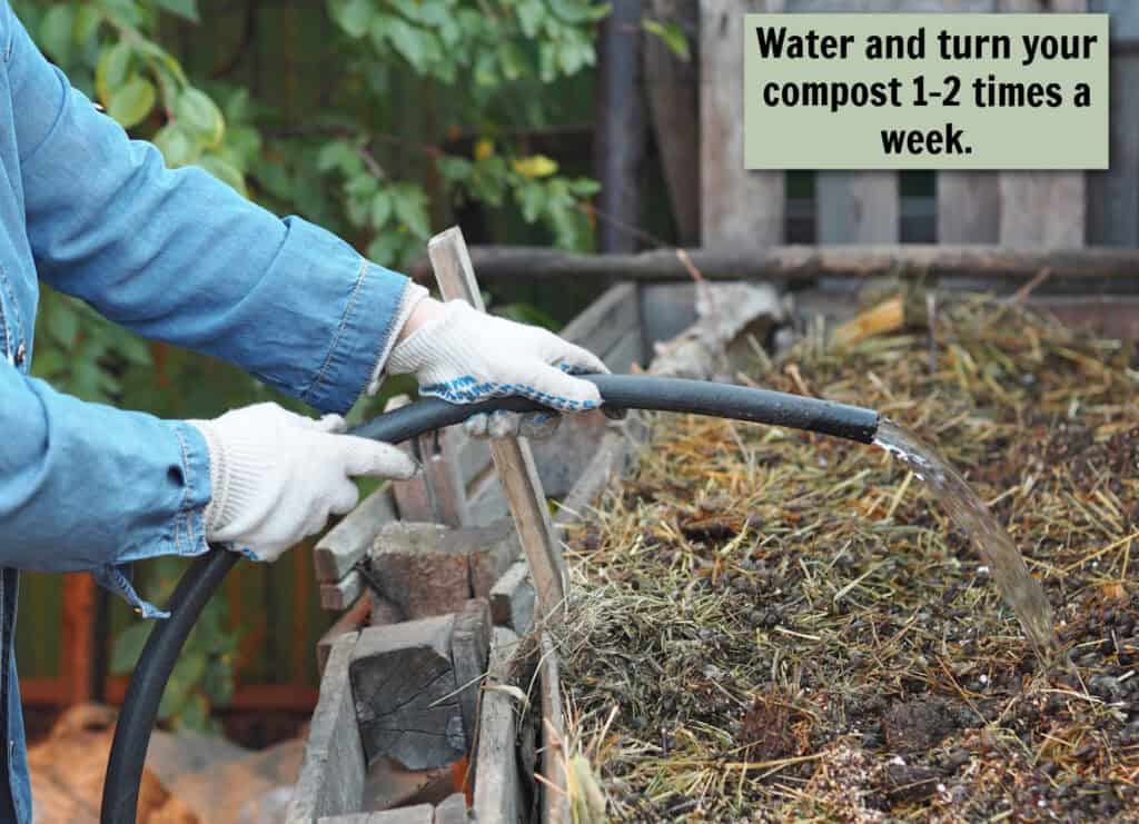 hands watering a compost pile with a black hose