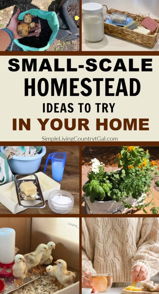 small-scale Homestead Ideas