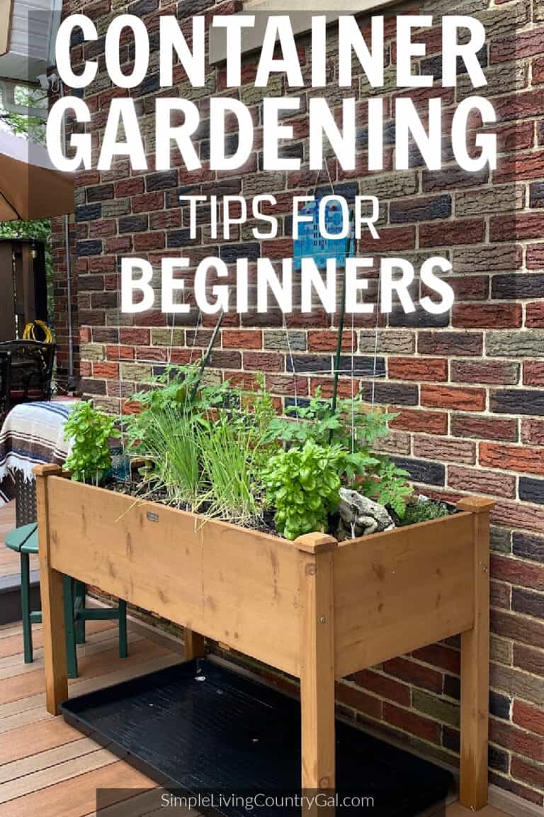 Tips for Container Gardening: Grow Fresh Veggies and Herbs | Simple ...