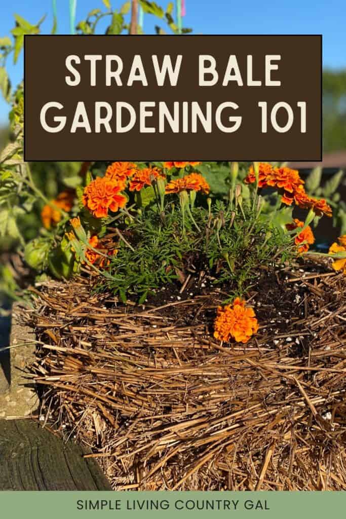 What is straw bale gardening