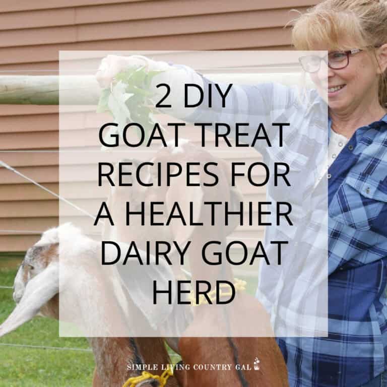 GOAT TREAT RECIPE