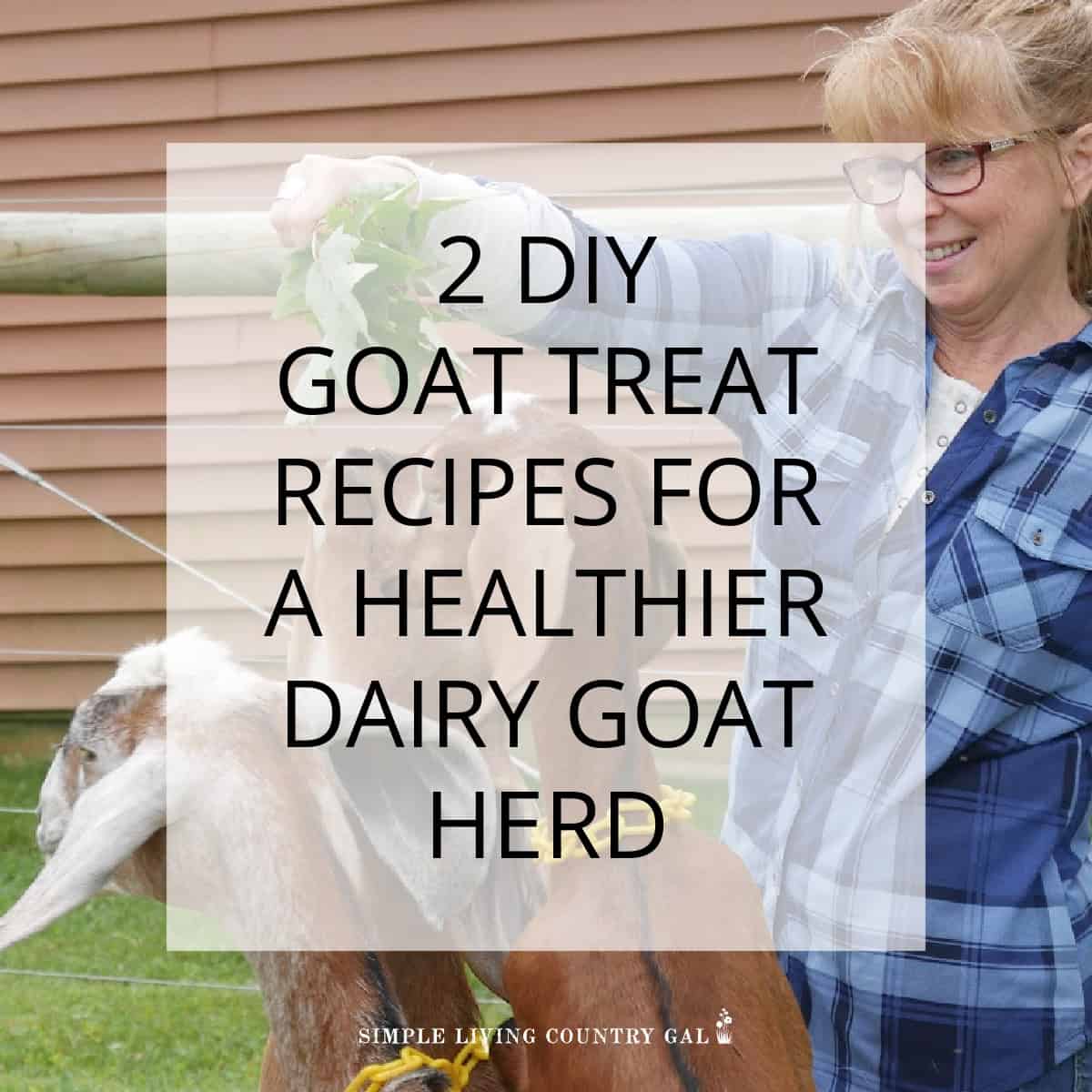 GOAT TREAT RECIPE