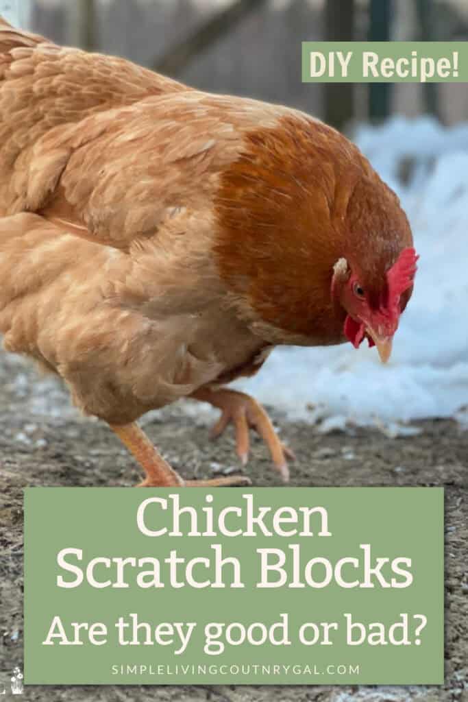 Scratch Block for Chickens