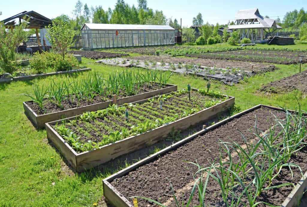 a large garden with raised beds and a greenhouse 