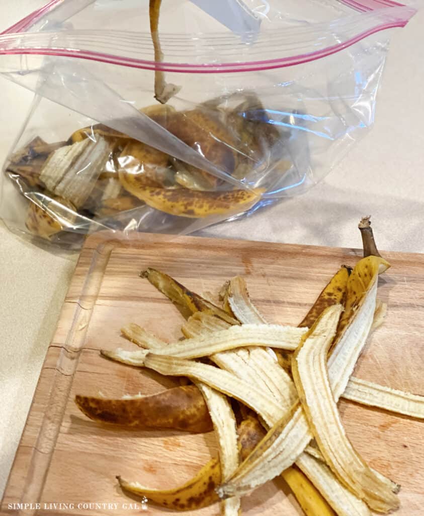 banana peels being put into a baggie for goat treats 