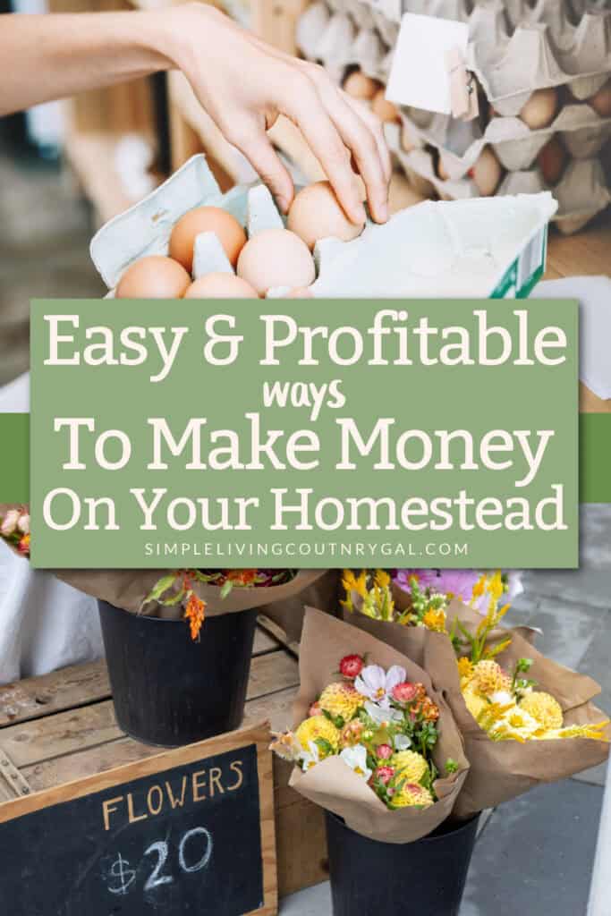 homestead business ideas