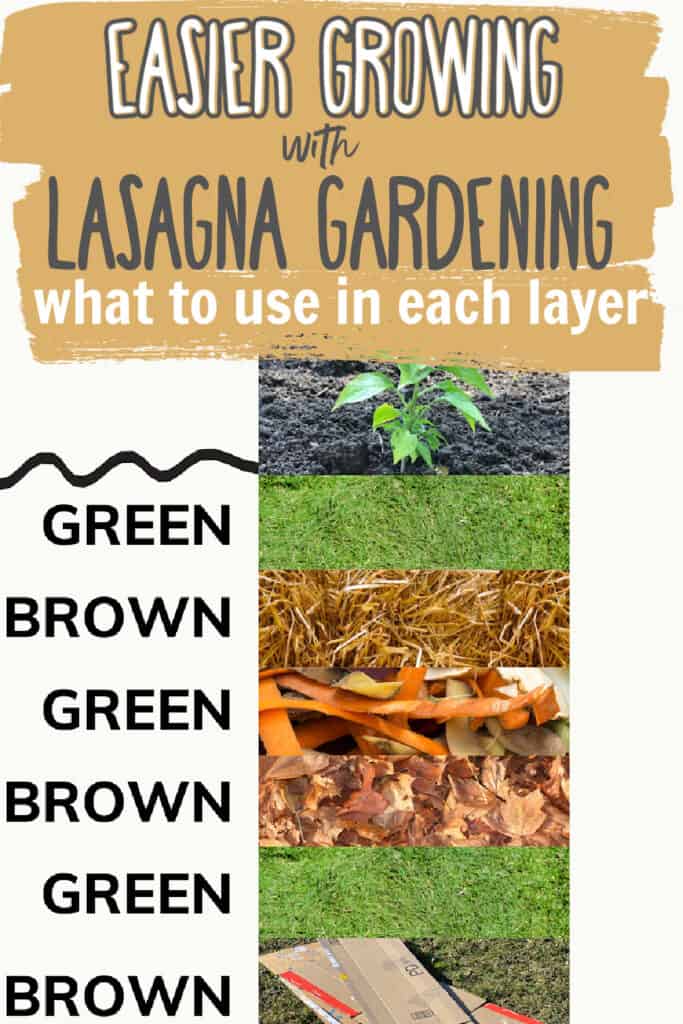 lasagna gardening layers