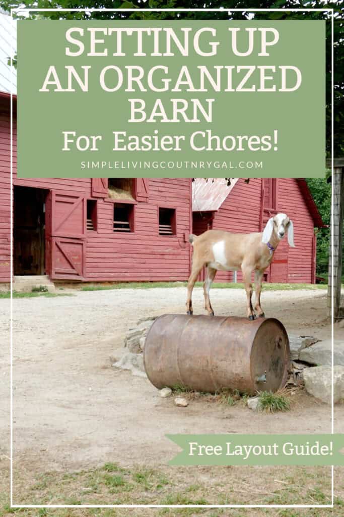 organized goat barn layout