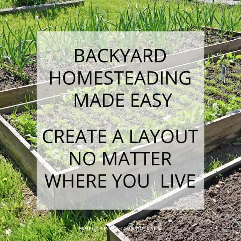 BACKYARD HOMESTEAD LAYOUT