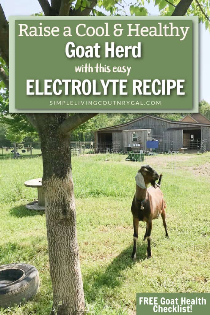 Goat Electrolytes Recipe