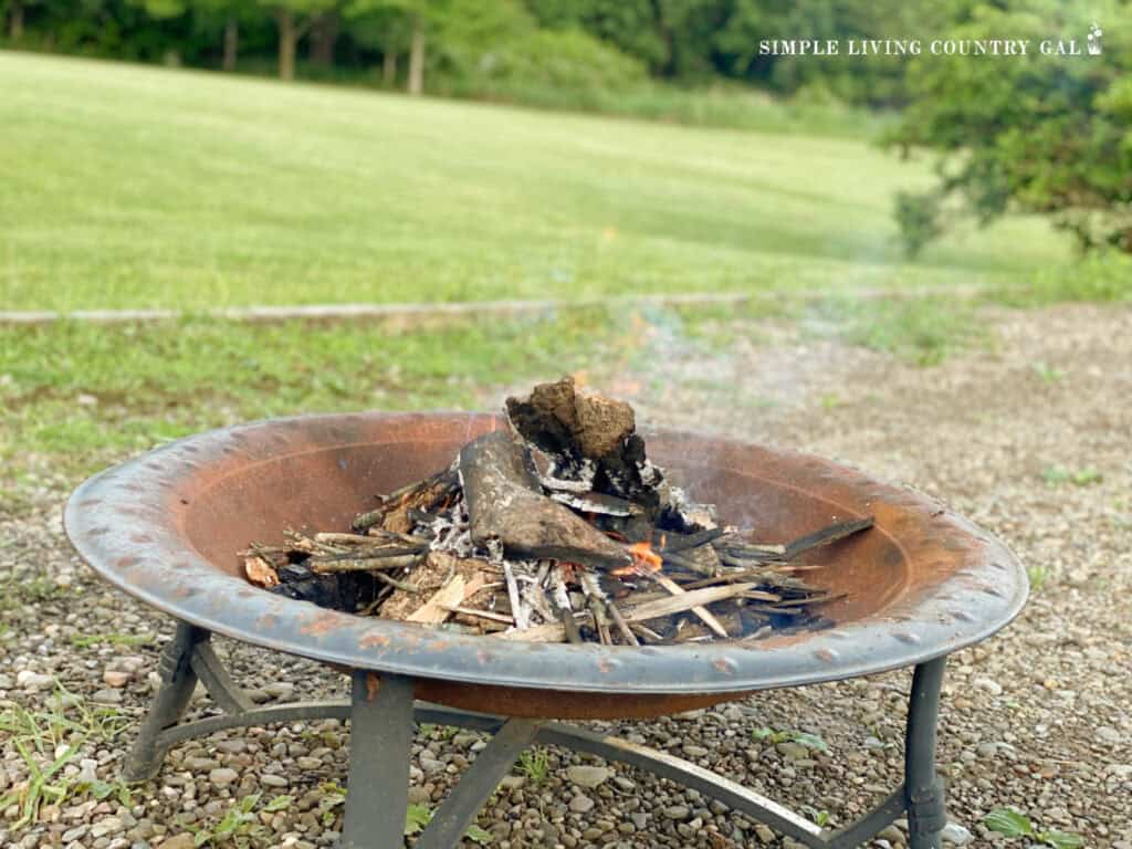 a fire in a backyard on a summer day 