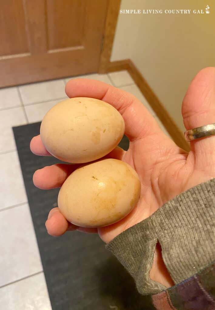 dirty eggs in a woman's hand 