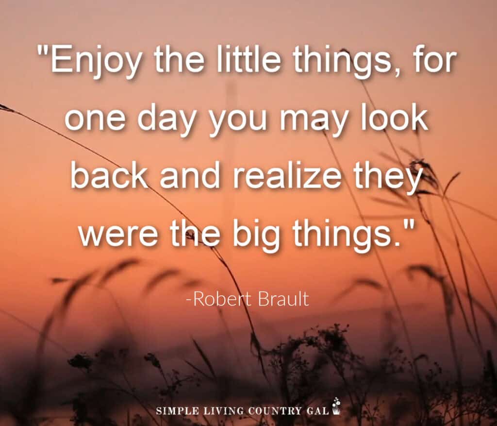 quote on living a simple life-enjoy the little things for one day you may look back and realize they were the big things. 