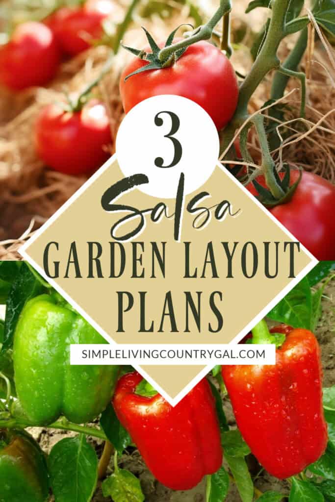 salsa garden layout