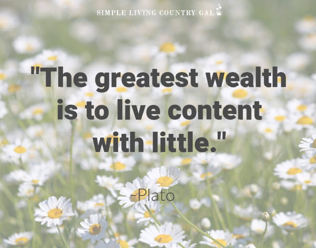 simple life quote-the greatest wealth is to live content with little